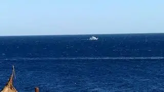 Шарм эль шейх. Чешет за пивом