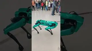 Robot Dance in Mall #bollywood #punjabi #music #punjabisong #shotsfeed