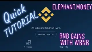 WBNB Smart Contract on ELEPHANT.MONEY Binance Smart Chain | BNB Gains | The What, Why, & How!