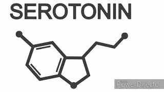 Optimal Serotonin Production