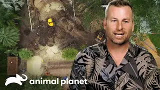 Tudo pronto para o projeto com a colaboração dos irmãos Pratt | Piscinas Incríveis | Animal Planet B