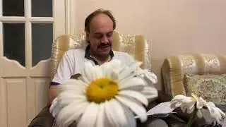 Стих про прелести отечественного туризма