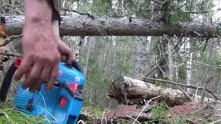 Заготовка дров в тайге Бензопила Союз