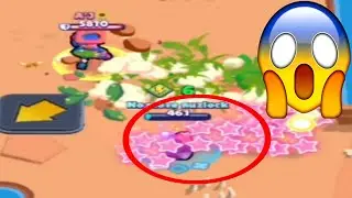 shelly super glitch