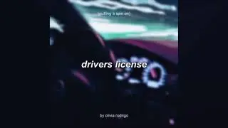 putting a spin on drivers license - egg