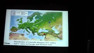 Persistent ritualistic hemp fiber use in Eurasia