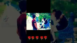 ишам бачаи холатай