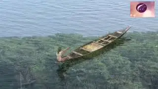 টাংগুয়ার হাওর তাহিরপুর সুনামগঞ্জ tanguar haor tahirpur sunamgonj