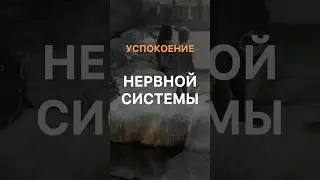 😍ДЛЯ УСПОКОЕНИЯ НЕРВНОЙ СИСТЕМЫ ♥️ #натальяшарова #89266764629 #зоопарк