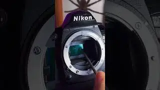 Careful not to scratch the camera sensor