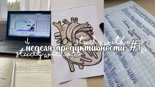 неделя продуктивности #1|study with me|подготовка к экзаменам|будни отличницы|study week|мотивация