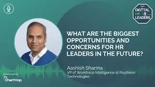 WHAT ARE THE BIGGEST OPPORTUNITIES AND CONCERNS FOR HR LEADERS IN THE FUTURE?