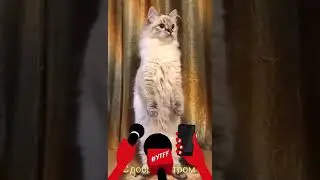 Россия введённая наша  жизнь