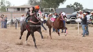 VIUDA NEGRA VS CEBOLLITA