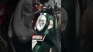HONDA SCOOPY DARK GREEN SATIN