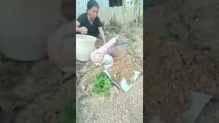 wakakaa bocah lucu