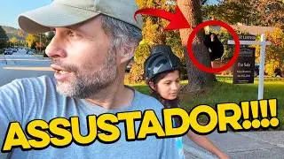 Demos de CARA COM UM URSO NO MEIO DA RUA no Canadá!!!!! | É a Vida em Família no Exterior