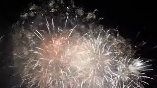Fireworks Display In The Air On A Dark Night