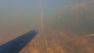Отличный карась в конце видео