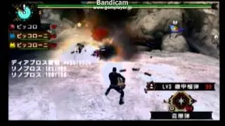 モンハン3ｒｄブラックピッコロVSディアブロス亜種