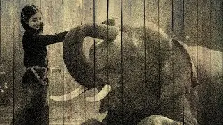Tutorial Photoshop CS6 - Drawing on wood