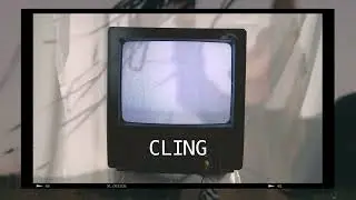 Chaz Cardigan - Cling (Visualizer)