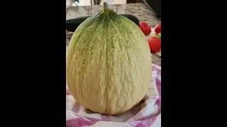 How to save melon seeds for the future!