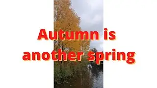 Autumn is another Spring || Colorful Fall in Germany || Herbst in Deutschland || Life in Germany