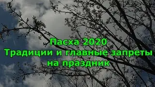 Пасха 2020 традиции и главные запреты на праздник.