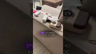 я осуждаю этих свинюх