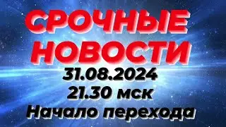 Нейронная сеть мозга резко перестраивается.