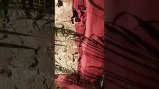 зачем оставляли метки на кирпичах