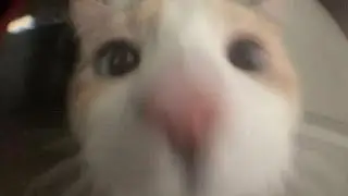 Тест на шизу.Попробуй не засмеяться