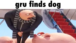 gru finds dog