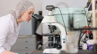 Полисинтез
