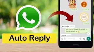 How to Enable Auto Reply to WhatsApp Messages ?