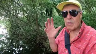Jungle fishing on 3 Rivers...IT’S TOUGH!