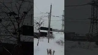 А чо их так много? #short