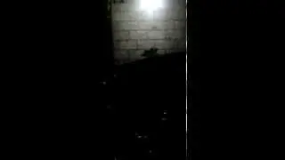 adik intip kaka meseum di kali