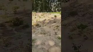 " Взрослые - те же дети... 👶🧒🧔👴