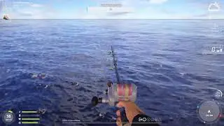 Русская рыбалка 4 Ламповый стримчик. Море, море.
