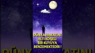 CAN HZ. MEHDİ'MİZ...? 2024