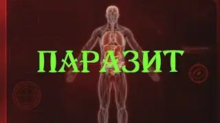 Plague Inc: Evolved❦Карт-бланш от ученых❦#6