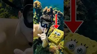 I found SPONGEBOB in REAL life 