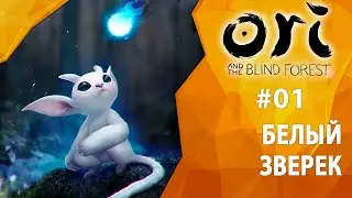 Прохождение Ori and The Blind Forest (Definitive Edition) #01 - Белый зверек