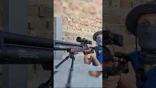 Pellet gun providing food for Cats #hunting #pestcontrol #cats