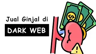 Semua Lapisan Internet Dalam 10 Menit !