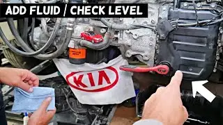 HOW TO ADD CHECK TRANSMISSION FLUID LEVEL ON KIA FORTE OPTIMA RIO SOUL SORENTO SPORTAGE