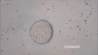Про отбойники (бампера) и не только....