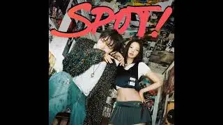 ZICO SPOT Ringtone